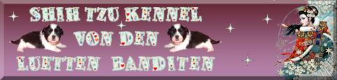 Shih Tzu Kennel von den lütten Banditen